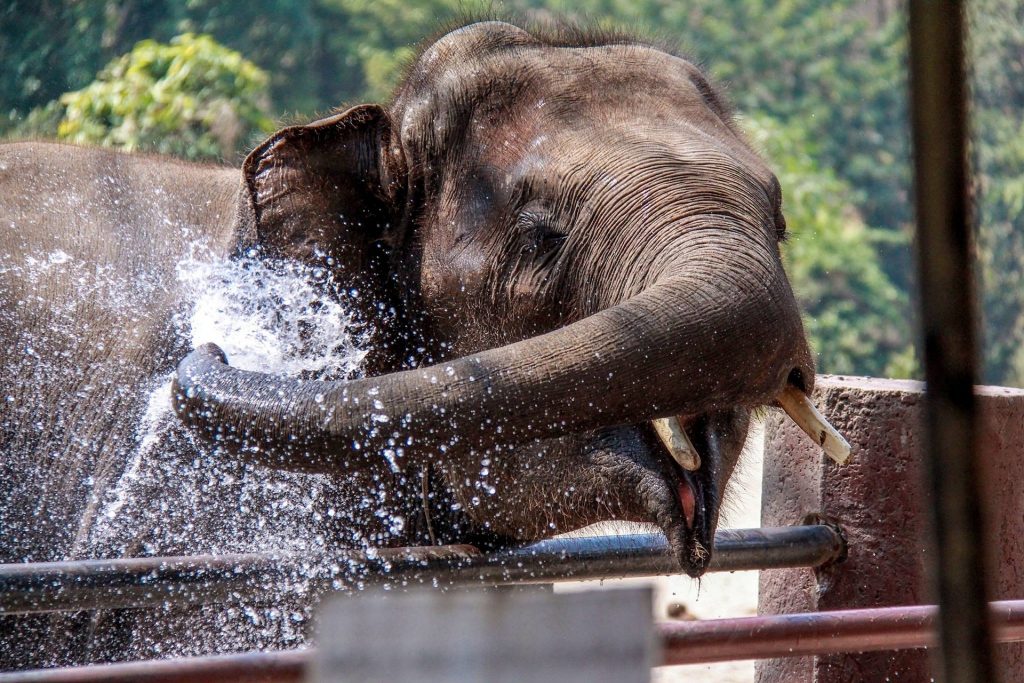 Thailand-Chiang Mai